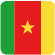 CAMEROUN FLAG